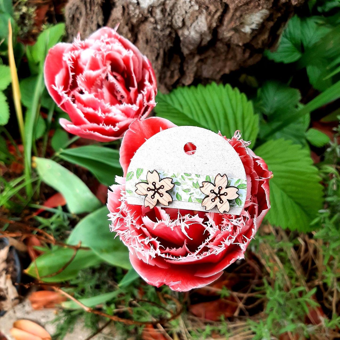 Houten sakura oorbellen